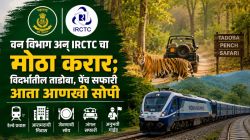 पर्यटन क्षेत्रात क्रांती! रेल्वे व महाराष्ट्र वन विभागात सफारी पॅकेजेस करार, उपलब्ध होणार आरामदायी पर्यटन