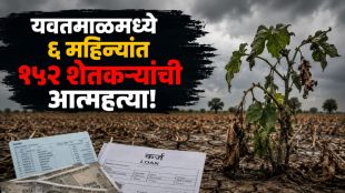 Yavatmal Farmer Suicide ground report news | Vidarbha Farmer Debt Data News Yavatmal | यवतमाळ शेतकरी आत्महत्या वास्तव | विदर्भ कर्जबळी शेतकरी बातमी