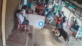 Bhandara Wild Boar Attack news | Bhandara wild boar video CCTV footage | भंडाऱ्यात रानडुकराचा हल्ला सीसीटीव्ही | आंबाडी गाव रानडुक्कर हल्ला बातमी