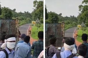 Tadoba Moharli road tiger video coverage | Tadoba tiger sighting rules violation penalty update | ताडोबा मोहर्ली रस्ता वाघ व्हिडिओ | ताडोबा पर्यटन नियम उल्लंघन बातमी