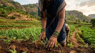 VB Gram G Scheme Farm Season Halt | MGNREGA 60 Days Work Stop Maharashtra Government | व्ही बी जी राम जी योजना शेती काम बंद | मनरेगा ६० दिवस काम बंद महाराष्ट्र