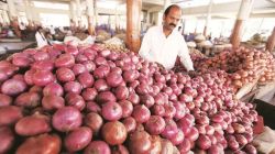 Onion Price Hike : कांदा ७० रुपये किलो; आठवडभरात दरात १० ते १५ रुपयांनी वाढ