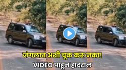 बापरे! जंगलात कारच्या सनरूफमधून बाहेर आला अन् पुढच्याच क्षणी झाडीतून विजेच्या वेगाने आला बिबट्या अन्… VIDEO पाहून हादराल!