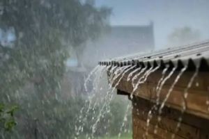 maharashtra-monsoon-average-rainfall-vidarbha-marathwada-deficit-dam-water-levels