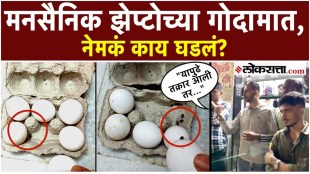 zepto-mulund-warehouse-cockroach-eggs-tray-mns-protest