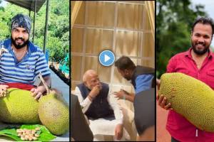 Mithilesh Desai Fanas King PM Modi Revati Sule reception | Mithilesh Desai Ratnagiri Jackfruit Entrepreneur | मिथिलेश देसाई फणस किंग पंतप्रधान नरेंद्र मोदी | रेवती सुळे रिसेप्शन मिथिलेश देसाई रत्नागिरी