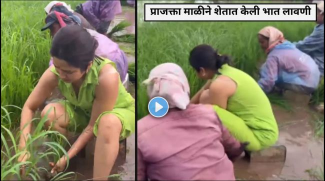 prajakta mali birthday celebration rice farming | prajakta mali instagram post latest updates