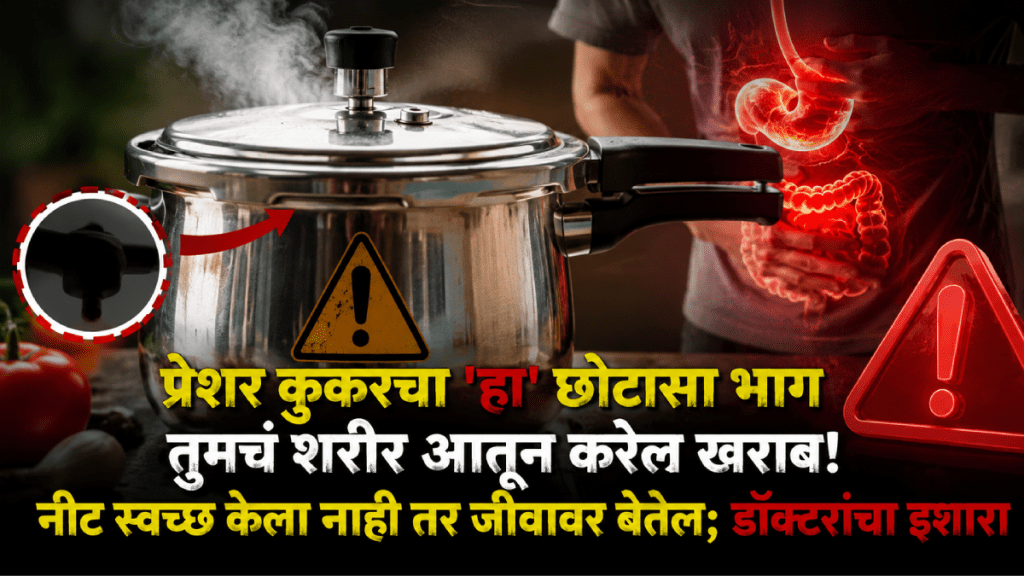 pressure cooker rubber cleaning dirty gasket health risks pressure cooker cleaning mistakes to avoid pressure cooker rubber cleaning dirty gasket health risks pressure cooker cleaning mistakes to avoid
