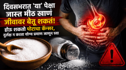दिवसभरात ‘या’ पेक्षा जास्त मीठ खाणं जीवावर बेतू शकतं! होऊ शकतो पोटाचा कॅन्सर, दुर्लक्ष न करता योग्य प्रमाण जाणून घ्या