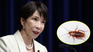 Sanae Takaichi Japan PM Cockroach Post | Japan Prime Minister Official Residence News