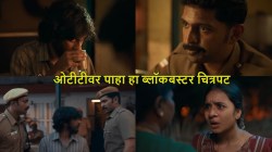 ३ कोटींचे बजेट, कमावले तब्बल…; ७८३ टक्के नफा कमावणारा ब्लॉकबस्टर चित्रपट ओटीटीवर आहे उपलब्ध, वाचा नाव…