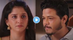 Video: “हा खेळ संपला नाही…”, युवराजसमोर येणार गुलाबचा बॉस; तारिणी व केदार काय करणार? मालिकेत ट्विस्ट