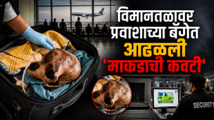 Delhi Airport Monkey Skull found in bag | IGI Airport CISF security screening | दिल्ली विमानतळ माकडाची कवटी प्रकरण | आयजीआय विमानतळ सीआयएसएफ तपासणी