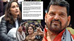 “सरकार त्याला वाचवण्यासाठी…”, बृजभूषण सिंह यांची निर्दोष मुक्तता झाल्यानंतर विनेश फोगटची पहिली प्रतिक्रिया, घेतला ‘हा’ निर्णय