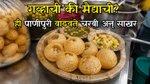 wheat Flour vs Refined Flour Which Pani Puri Shell is Healthier