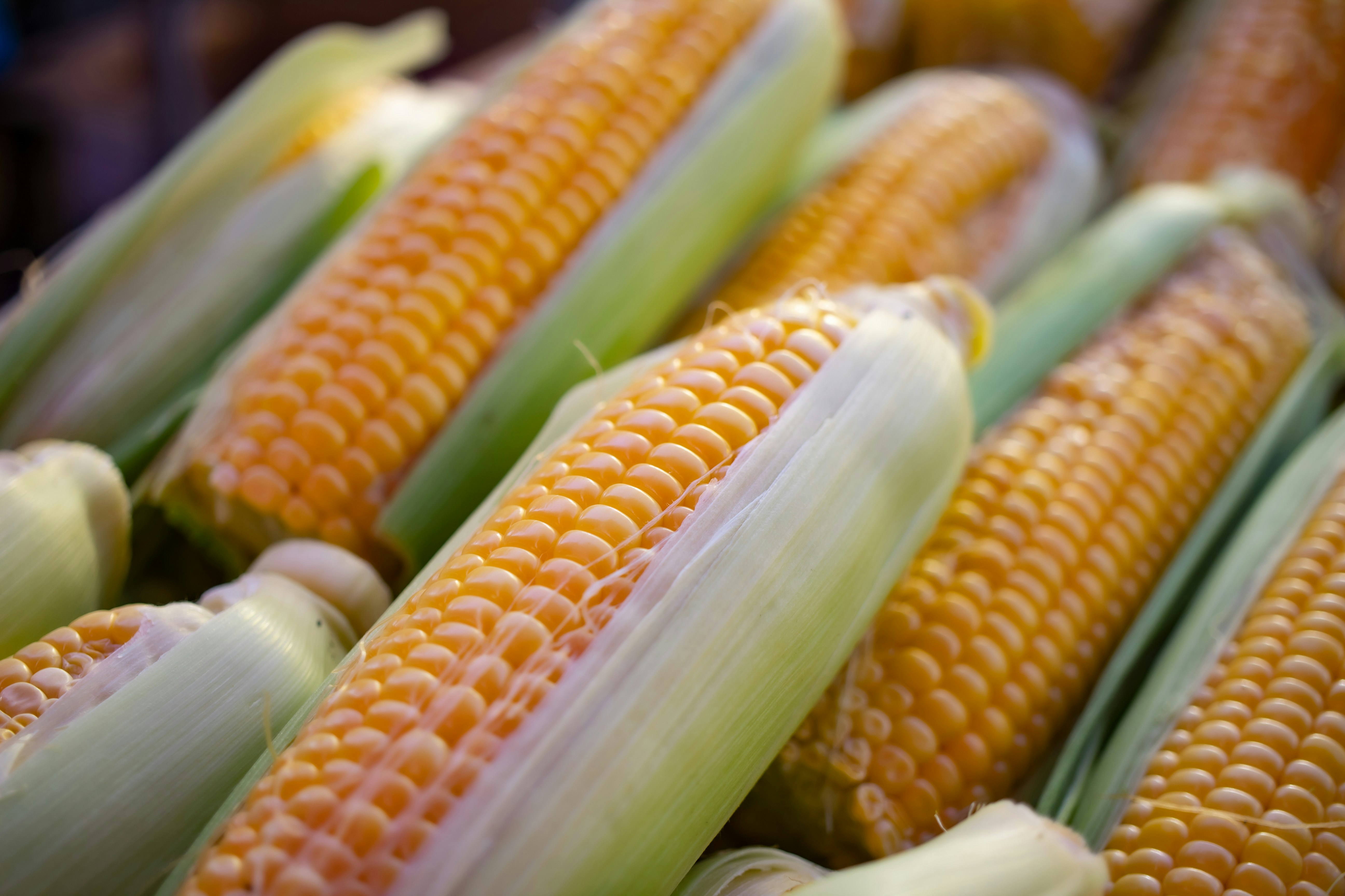 Best corn dishes to try around the world