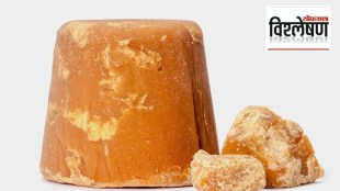 FDA Action on Yellow Jaggery