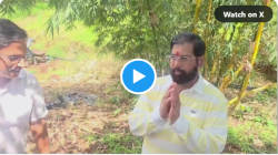 Video: एकनाथ शिंदेंकडून दरे गावात सफरचंद, ब्ल्यू बेरीची यशस्वी लागवड! म्हणाले, “आता विरोधकांच्या पोटदुखीवरही जमालगोटा झाडाची लागवड करणार”