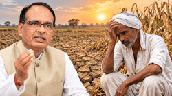 “३ ऑक्टोबर रोजी…”, महाराष्ट्रातील भीषण दुष्काळावर केंद्रीय कृषी मंत्री शिवराजसिंह चौहान यांची महत्त्वाची घोषणा!