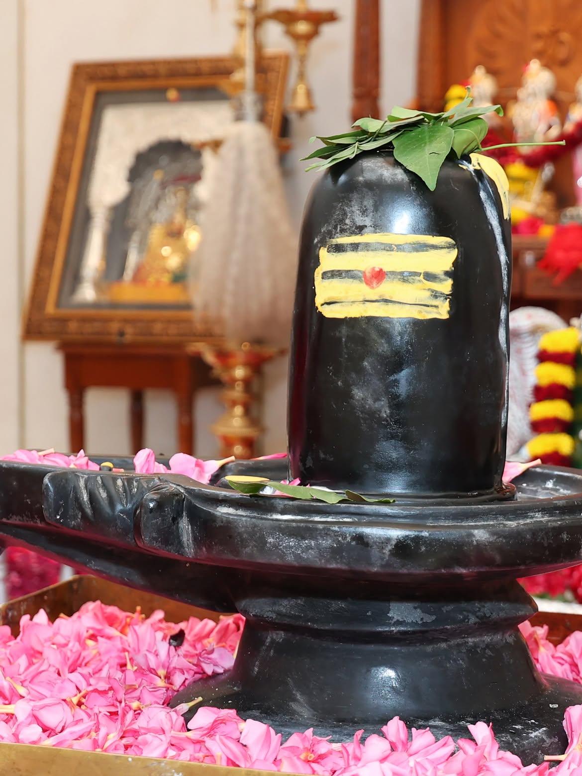 Amruta Fadnavis Shravan Sommar puja photos