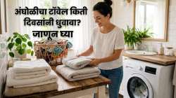 अंघोळीचा टॉवेल किती दिवसांनी धुवावा? आजारांचा धोका टाळण्यासाठी काय करावे? घ्या जाणून