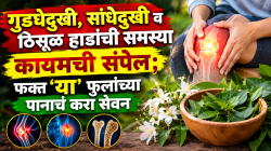गुडघेदुखी, सांधेदुखी व ठिसूळ हाडांची समस्या कायमची संपेल; फक्त ‘या’ फुलांच्या पानाचं करा सेवन, आश्चर्यकारक फायदे पाहून थक्क व्हाल