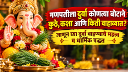 गणपतीला दुर्वा कोणत्या बोटाने कुठे, कशा आणि किती वाहाव्यात? जाणून घ्या दुर्वा वाहण्याचे महत्व व धार्मिक पद्धत…!