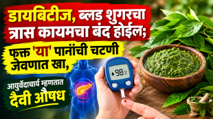 ayurvedic benefits of sadabahar neem and sheesham leaf chutney acharya balkrishna tips
