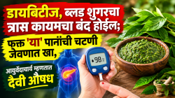 डायबिटीज, ब्लड शुगरचा त्रास कायमचा बंद होईल; फक्त या पानांची चटणी जेवणात खा, आयुर्वेदाचार्य म्हणतात दैवी औषध