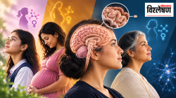 Female brain grey matter hormonal transitions: यौवनावस्थेपासून ते रजोनिवृत्तीपर्यंत मेंदूतील ‘ग्रे मॅटर’मध्ये होणाऱ्या बदलांविषयी विज्ञान काय सांगते?