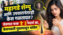 महागडे शॅम्पू आणि उपचारानंतरही केस गळतायत? जेवणात फक्त ‘हे’ ३ पदार्थ खा, केसगळती मुळापासून थांबेल