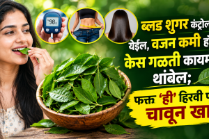 curry leaves nutritional benefits