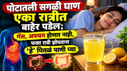 पोटातली सगळी घाण एका रात्रीत बाहेर पडेल; गॅस, अपचन होणार नाही, फक्त रात्री झोपताना ‘हे’ पिवळं पाणी प्या