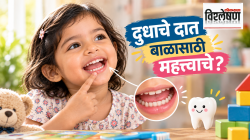 Milk Teeth Benefits in Speech: दुधाचे दात बाळाचे स्पष्ट उच्चार कसे घडवतात? भाषाविज्ञान काय सांगतं?