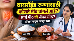 थायरॉईड रुग्णांसाठी कोणते मीठ चांगले आहे? साधं मीठ की सैंधव मीठ? डॉक्टरांकडून जाणून घ्या