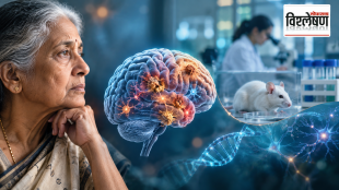 An elderly woman looking thoughtfully at a brain illustration showing Alzheimer’s-related changes, alongside a laboratory mouse, DNA strand, neurons and researchers in a biomedical research setting.