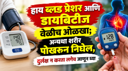 हाय ब्लड प्रेशर आणि डायबिटीज वेळीच ओळखा; अन्यथा शरीर पोखरुन निघेल, दुर्लक्ष न करता लगेच जाणून घ्या