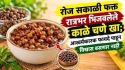 रोज सकाळी फक्त रात्रभर भिजवलेले काळे चणे खा; आश्चर्यकारक फायदे पाहून विश्वास बसणार नाही