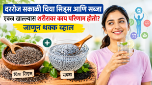 chia sabja seeds every morning benefits side effects right way to consume