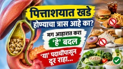 पित्ताशयात खडे होण्याचा त्रास आहे का? मग आहारात करा ‘हे’ बदल, तर ‘या’ पदार्थांपासून दूर राहा…
