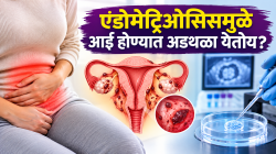 एंडोमेट्रिओसिसमुळे आई होण्यात अडथळा येतोय? आयव्हिएफवर कसा होतो परिणाम; तज्ज्ञांचा महत्त्वाचा सल्ला