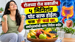 रोजच्या रोज सकाळीच ५ मिनिटांत पोट साफ होईल; फक्त ‘ही’ फळं खा, वर्षानुवर्षांची घाण निघेल बाहेर