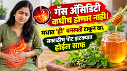गॅस अ‍ॅसिडिटी कधीच होणार नाही; मधात ‘ही’ वनस्पती टाकून खा, सकाळीच पोट झटक्यात होईल साफ