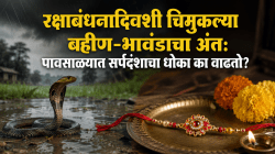रक्षाबंधनादिवशी चिमुकल्या बहीण-भावंडाचा अंत: पावसाळ्यात सर्पदंशाचा धोका का वाढतो? जाणून घ्या काय करावे आणि काय टाळावे!