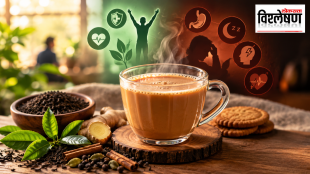 A steaming cup of milk tea surrounded by tea leaves, ginger, spices and biscuits, with visual symbols representing the potential health benefits and risks of tea.