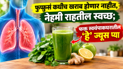 फुप्फुसं कधीच खराब होणार नाहीत, नेहमी राहतील स्वच्छ; फक्त स्वयंपाकघरातील ‘हे’ ज्यूस प्या, आयुष्यभर रहाल निरोगी