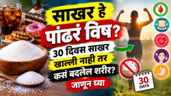 साखर हे पांढरं विष? ३० दिवस साखर खाल्ली नाही तर कसं बदलेल शरीर? जाणून घ्या