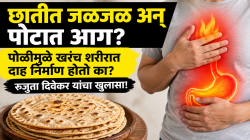 छातीत जळजळ अन् पोटात आग? पोळीमुळे खरंच शरीरात दाह निर्माण होतो का? रुजुता दिवेकर यांचा खुलासा!