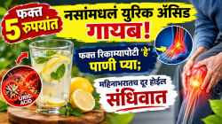 Uric Acid: ५ रुपयांत नसांमधलं युरिक अ‍ॅसिड गायब! फक्त रिकाम्यापोटी ‘हे’ पाणी प्या; महिन्याभरातच दूर होईल संधिवात