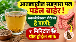 आतड्यात कुजणारा मल पडेल बाहेर अन् पोटाची चरबीही वितळेल; सकाळी उठताच प्या ‘हे’ पाणी, २ मिनिटांत पोट होईल साफ